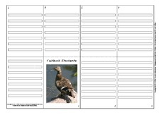 Faltbuch-Stockente-3.pdf